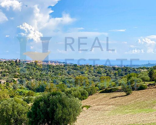 Dolcissima Campagna Netina