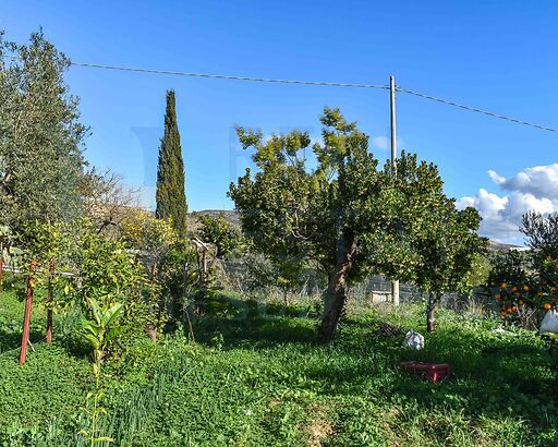 Casina Muttidda Bianca