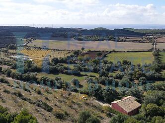 Casina e Terre degli Aromi Siciliani