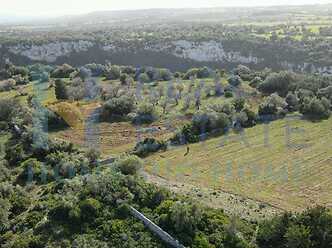 Tenuta del Lanario